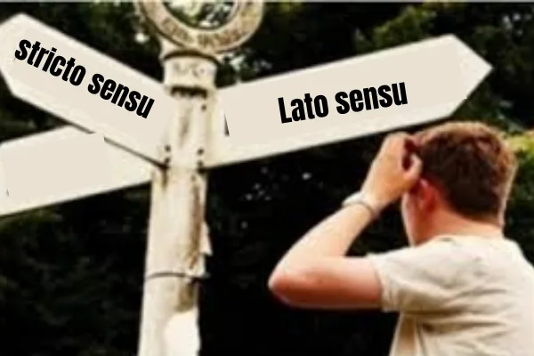 Lato Sensu e Stricto Sensu: Saiba Diferenças na Pós-graduação